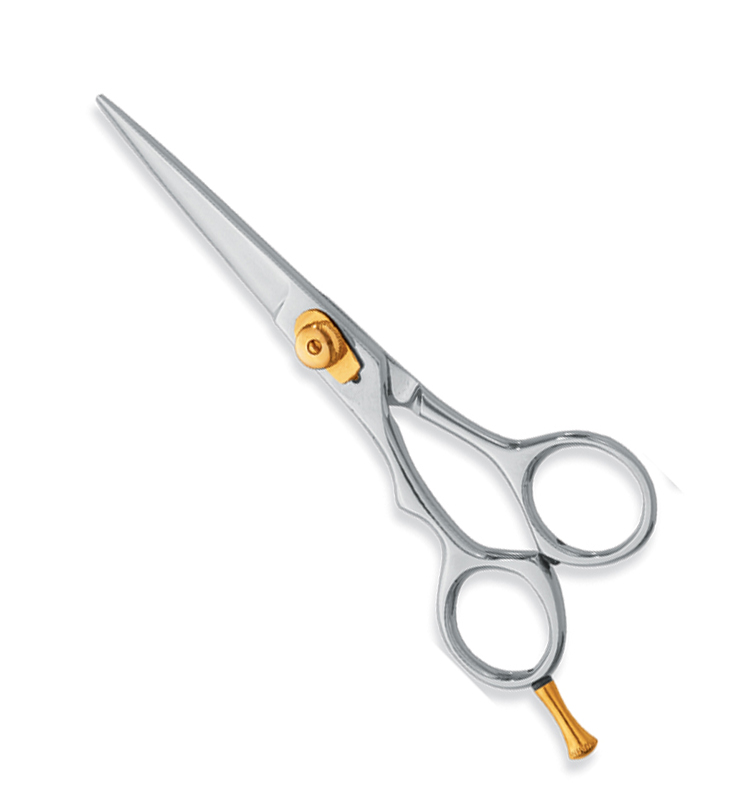 02.jpg Professional Hair Cutting Scissors - Image 1