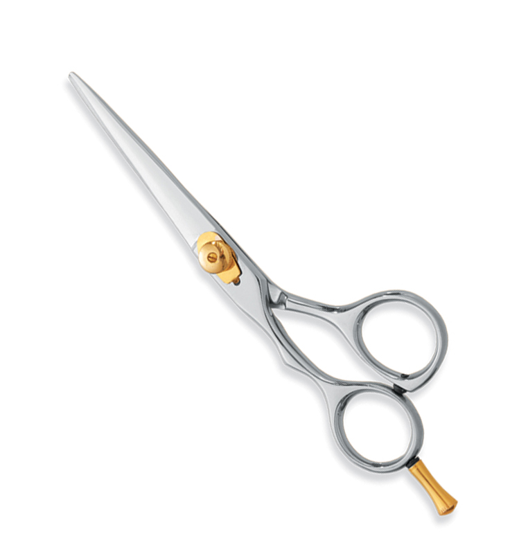 06.jpg Professional Hair Cutting Scissors - Image 1