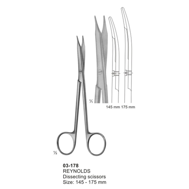 11-13.jpg Dissecting Scissors - Image 1