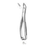 Extracting Forceps
