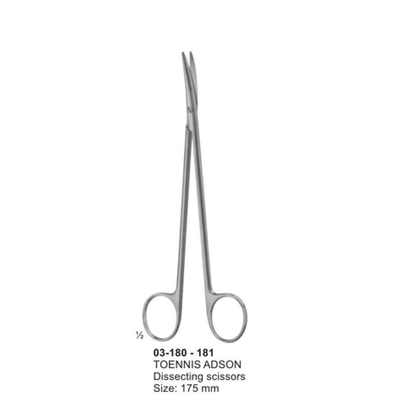 13-11.jpg Dissecting Scissors - Image 1